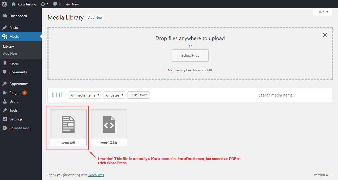 File Details